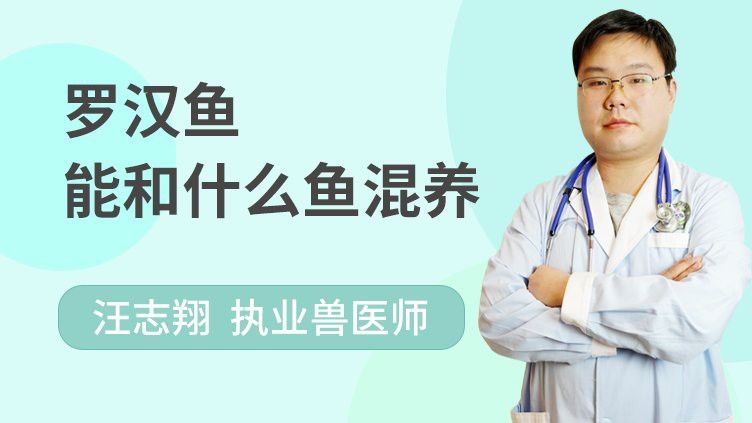恐龍魚混養羅漢魚