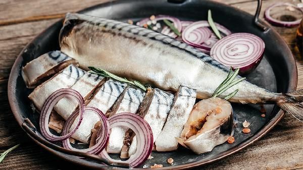 龍魚鰓蓋潰爛是什么原因 龍魚鰓蓋潰爛是什么原因 龍魚百科 第3張
