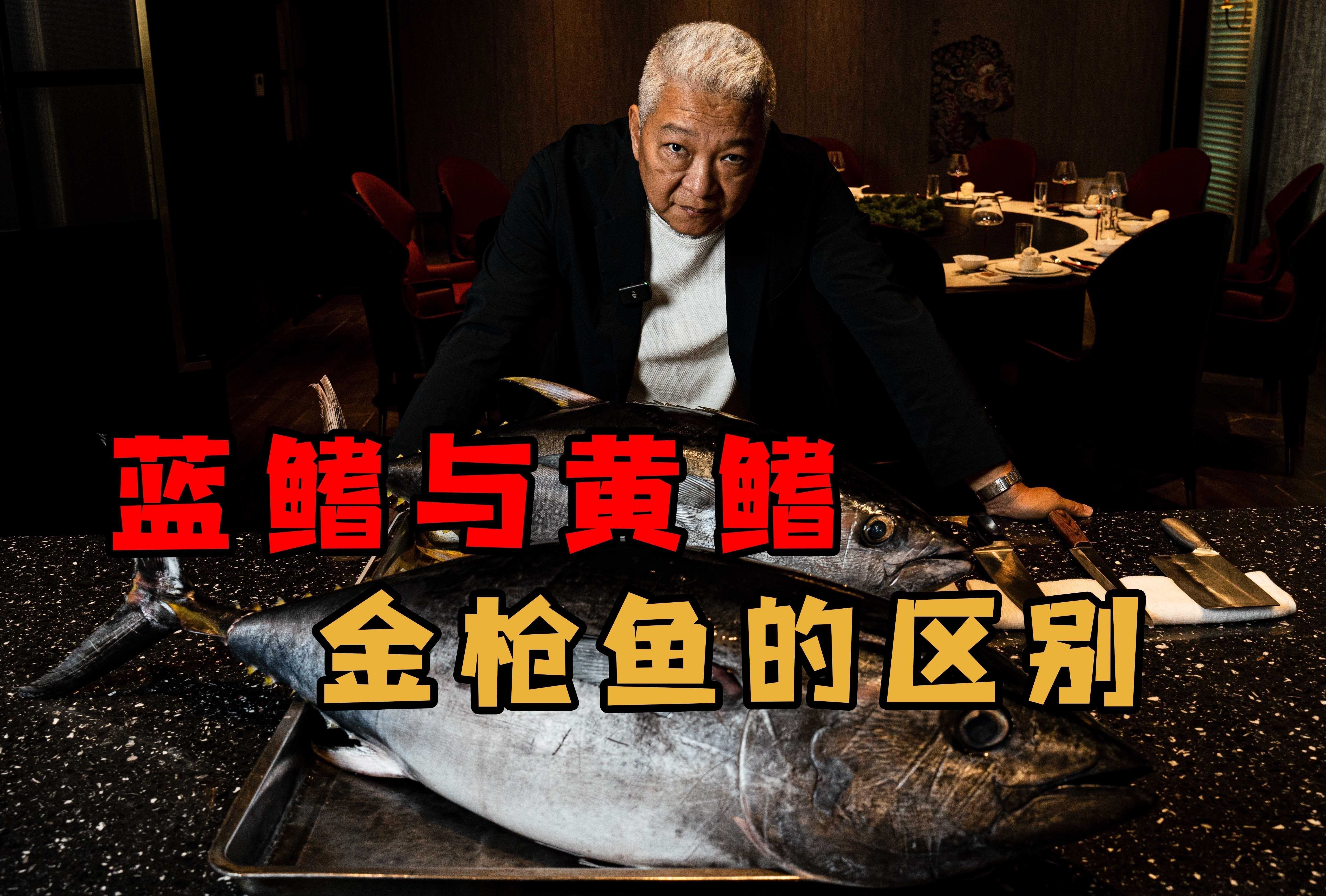 藍鰭和黃鰭金槍魚區別