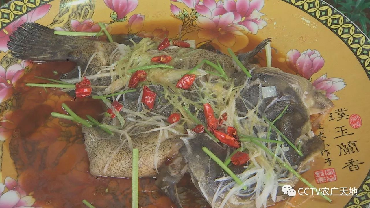 10大名貴食用魚