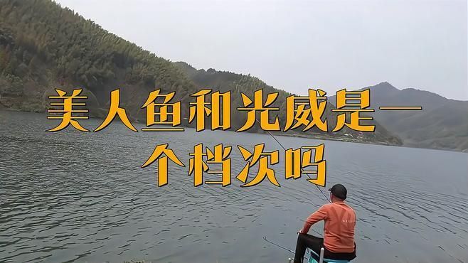 美人魚和光威是一個檔次嗎