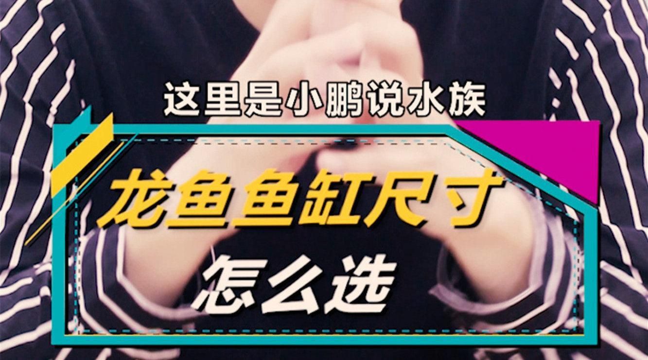 龍魚魚缸最佳尺寸