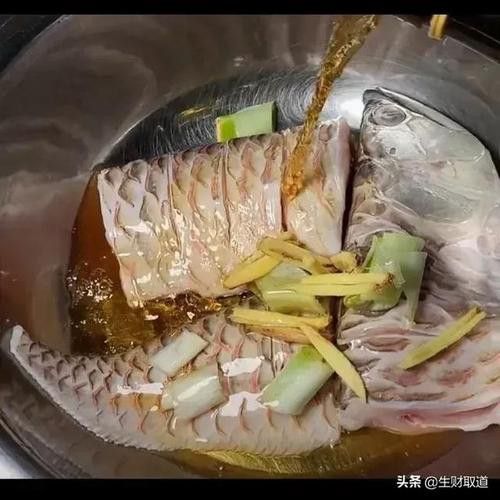 紅燒銀龍魚做法大全竅門圖片 龍魚百科 第17張 紅燒銀龍魚做法大全竅門圖片 紅燒銀龍魚做法大全竅門圖片 龍魚百科 第17張