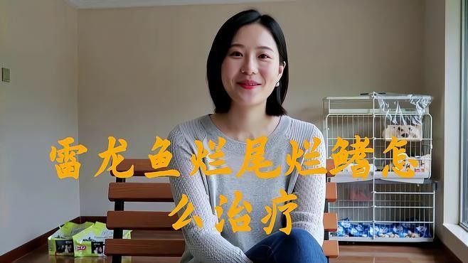 龍魚爛鰭爛尾怎么治療視頻