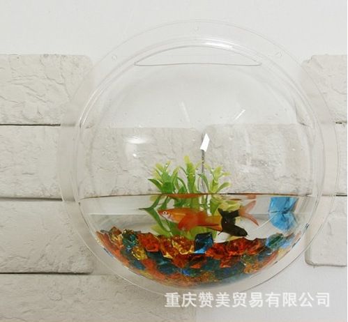 金龍魚是哪個國家的品牌老板是誰（金龍魚是哪個國家的品牌誰控股）