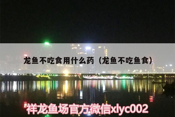 龍魚不吃食用什么藥（龍魚不吃魚食）