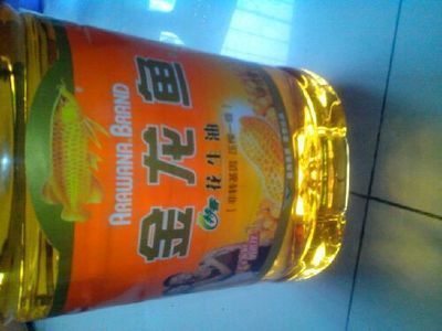 金龍魚便宜：一條金龍魚最便宜能到多少錢最貴能到多少錢