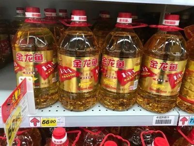 金龍魚便宜：一條金龍魚最便宜能到多少錢最貴能到多少錢