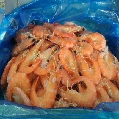 龍魚可不可以喂熟蝦：龍魚可以喂熟蝦嗎？