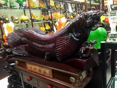 西安龍魚祥龍魚場（祥龍魚場-馬來西亞金龍(漁)魚場）