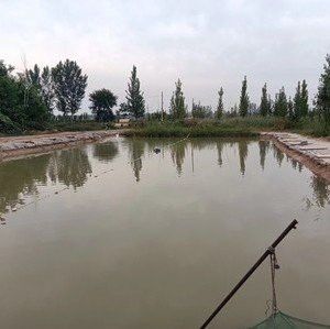 濟寧龍魚垂釣園在哪里