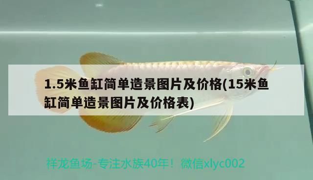 15米魚缸多少錢一個（15米魚缸品牌推薦）