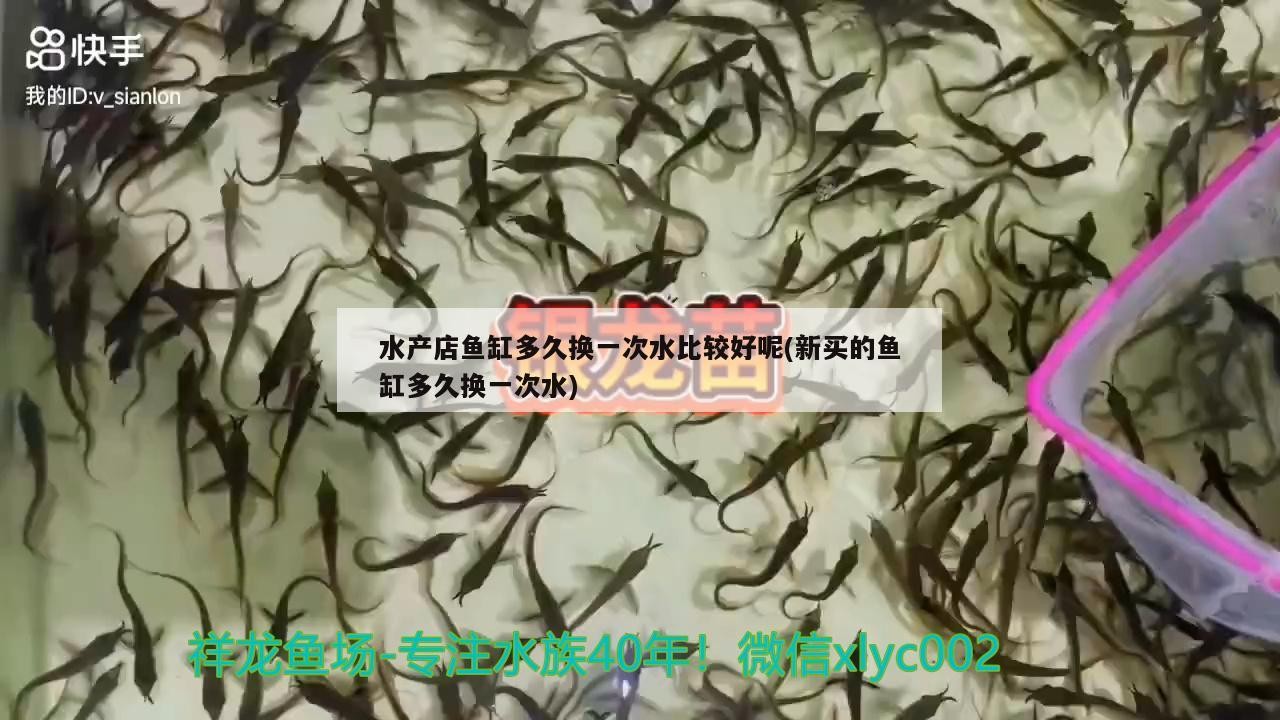 水產店魚缸多久換一次水比較好呢(新買的魚缸多久換一次水)