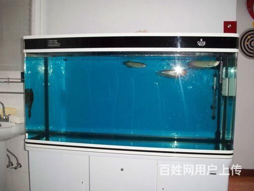 徹底清洗魚缸的方法有哪些視頻：如何清洗魚缸