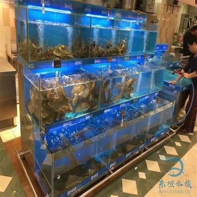 海鮮魚缸設計過濾系統選擇合適的魚缸尺寸是多種因素：養魚新手入門指南