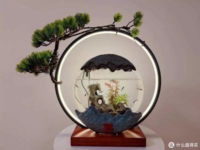 創魔魚缸擺件:《創造與魔法》創魔魚缸擺件\"創魔魚缸擺件搭配建議 魚缸百科 第4張 創魔魚缸擺件:《創造與魔法》創魔魚缸擺件\"創魔魚缸擺件搭配建議 創魔魚缸擺件:《創造與魔法》創魔魚缸擺件\"創魔魚缸擺件搭配建議 魚缸百科 第4張