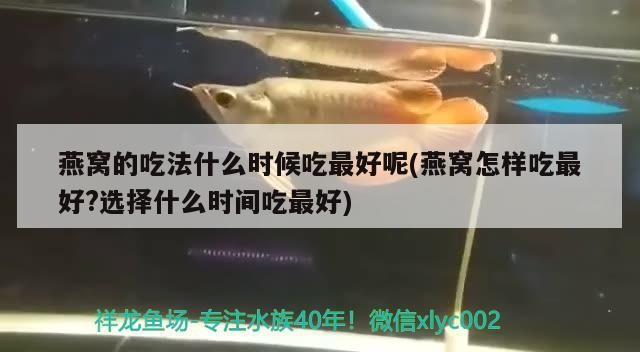 南寧市船長(zhǎng)寵物店