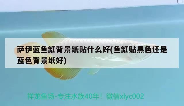 廣州兆鴻貿(mào)易店