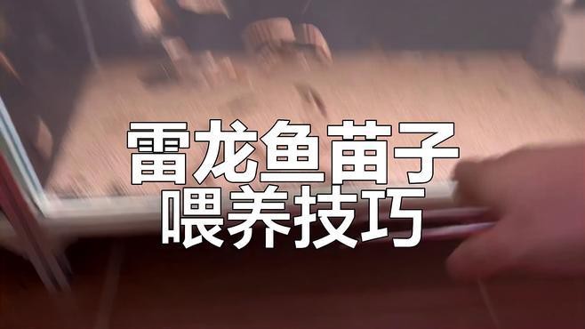 淡水海龍魚(yú)能吃紅蟲(chóng)嗎視頻講解