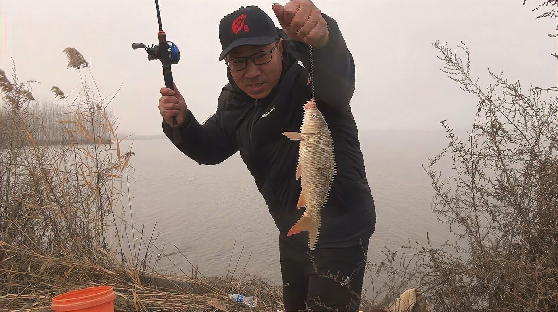 淡水海龍魚(yú)能吃紅蟲(chóng)嗎視頻講解