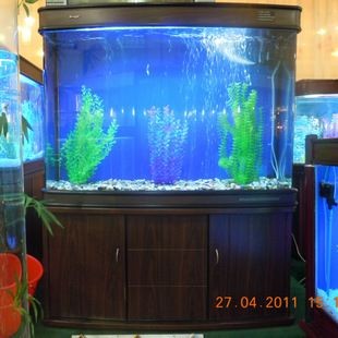 喜灝魚缸怎么樣：喜灝魚缸怎么樣？