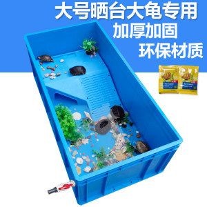 龍魚一直用嘴磨缸：龍魚一直用嘴磨缸是什么原因