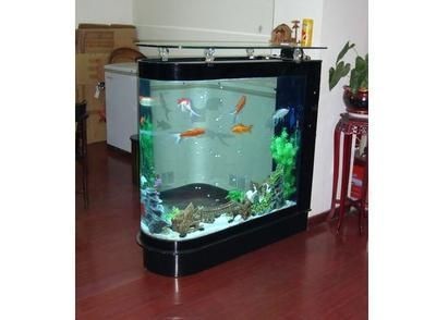 廣西南寧市魚缸批發市場在南寧市魚缸批發市場在哪里：南寧魚缸批發市場