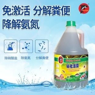 海豚標志的魚缸：海豚標志的魚缸在現代室內設計中的應用及其美學價值