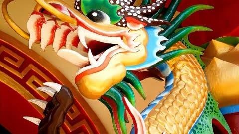 有哪些正規(guī)的橙紅龍魚養(yǎng)殖場(chǎng)？ 有哪些正規(guī)的橙紅龍魚養(yǎng)殖場(chǎng)？ 龍魚百科 第1張