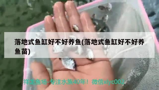青海生物科技產業園熙貝水族經營部（青海生物科技產業園熙貝水族經營部電話）