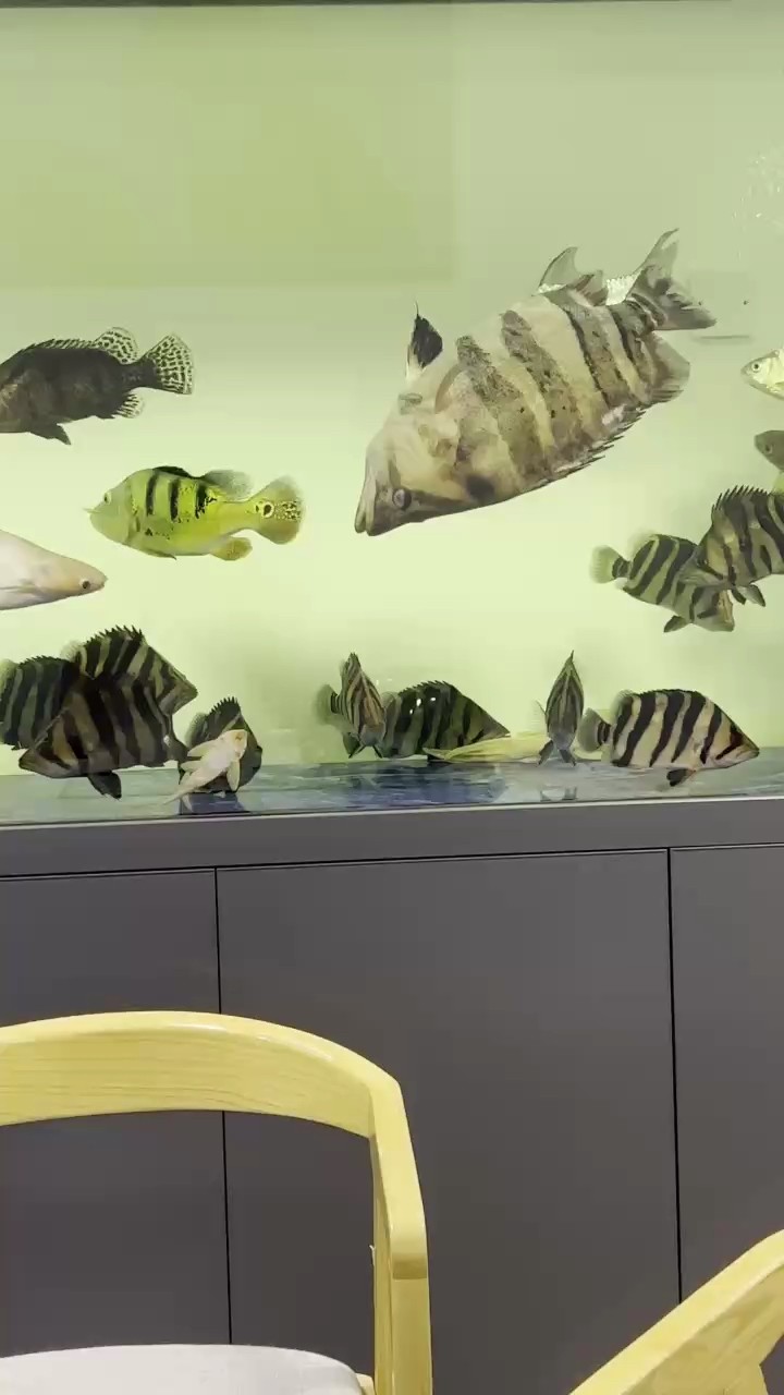 睡不著…..