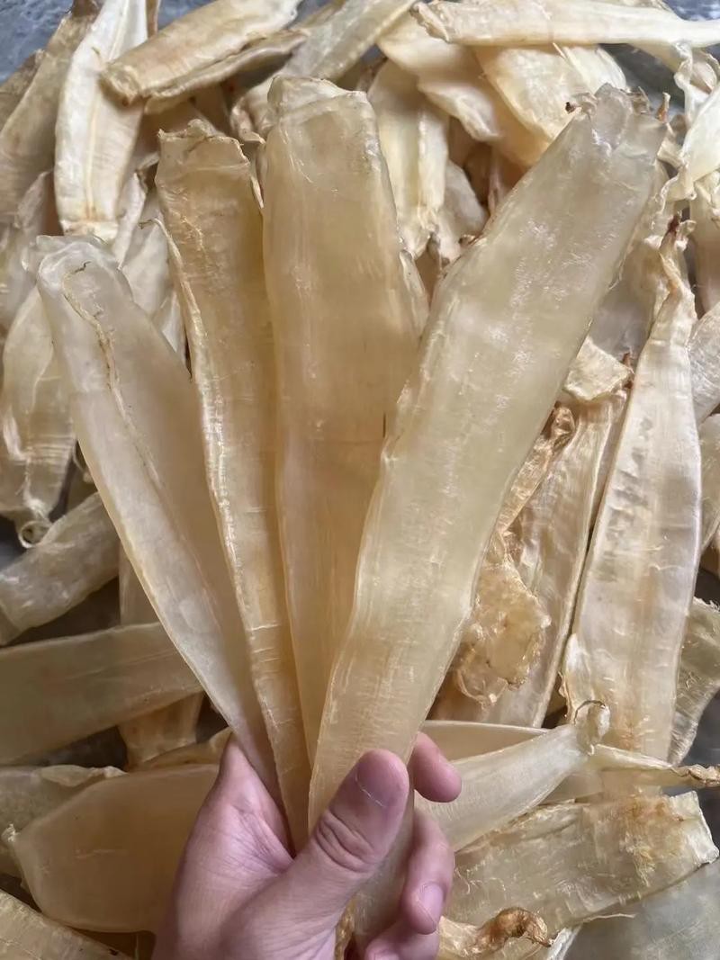 潮汕金龍魚是什么魚圖片大全