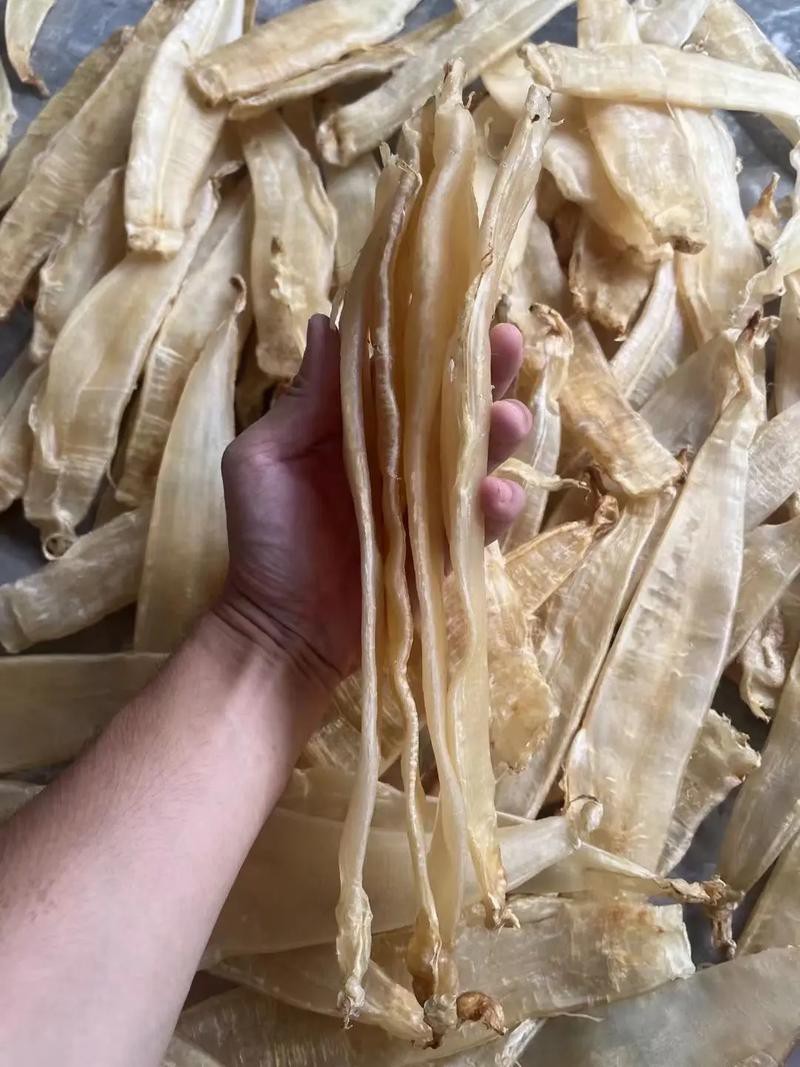 潮汕金龍魚是什么魚圖片大全