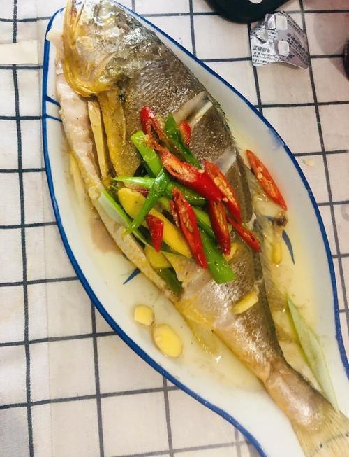 潮汕金龍魚是什么魚圖片大全