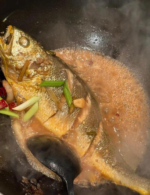 潮汕金龍魚是什么魚圖片大全
