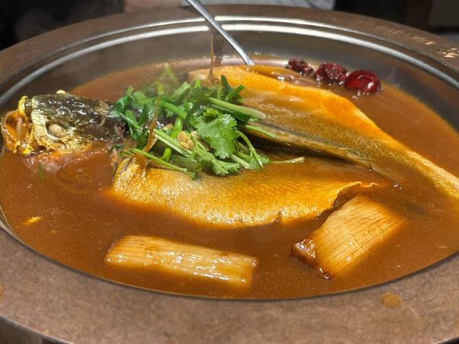 潮汕金龍魚是什么魚圖片大全