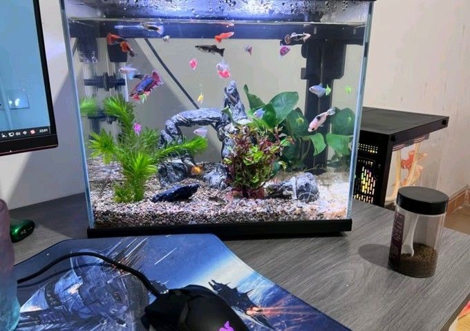 森森魚缸型號及價格表（森森魚缸型號價格表）