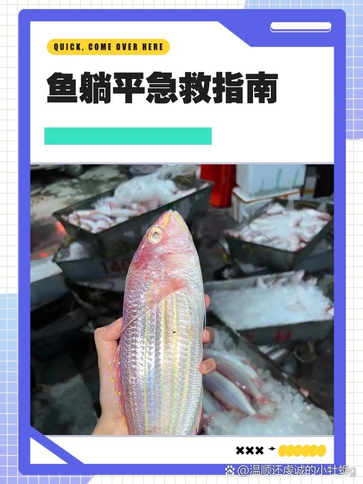 銀龍魚沉底后如何急救？