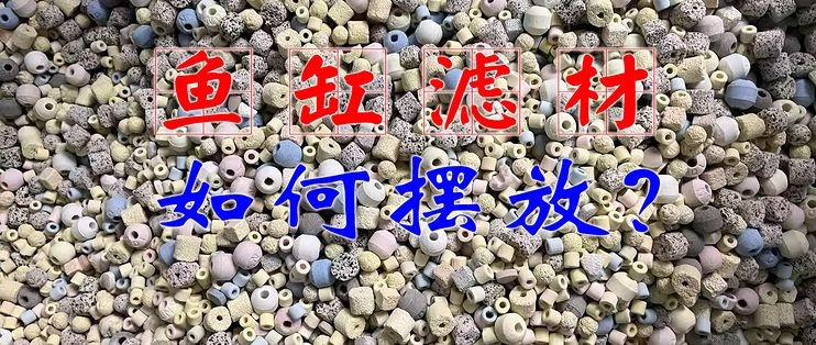 森森魚缸過濾材料布置：森森魚缸的過濾材料的選擇和布置