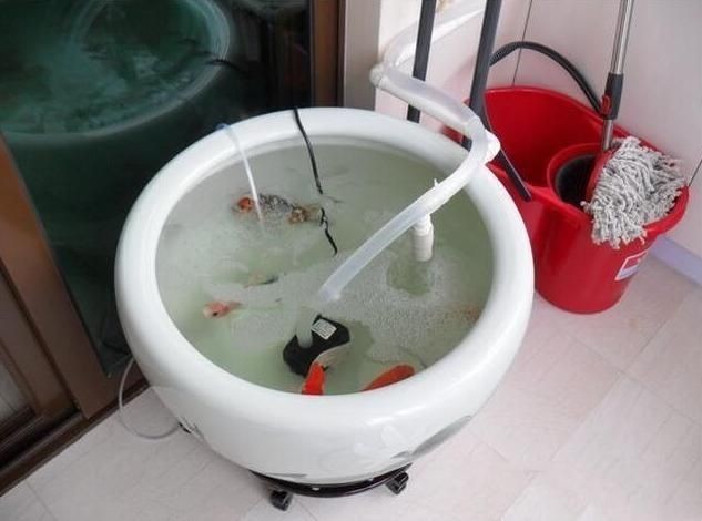 魚缸吸糞器怎么做法（魚缸吸糞器怎么做）