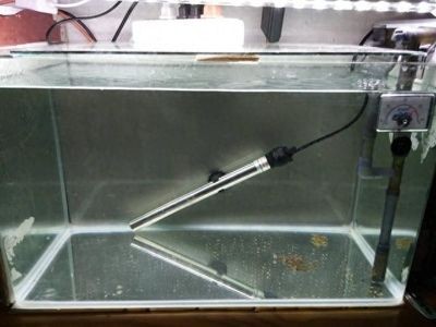 魚缸吸糞器怎么做法（魚缸吸糞器怎么做）