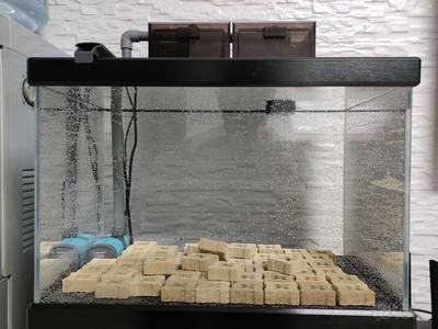 底濾魚缸怎么換過濾棉（魚缸更換過濾棉的方式）