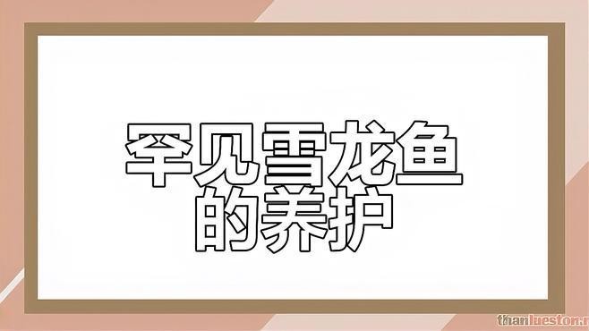 雪龍魚長什么樣子