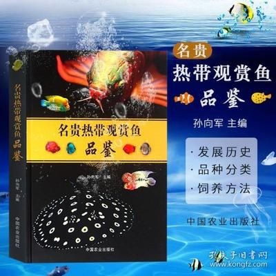 七彩神仙 龍魚怎么養：七彩神仙魚怎么養 七彩神仙 龍魚怎么養：七彩神仙魚怎么養 龍魚百科 第3張