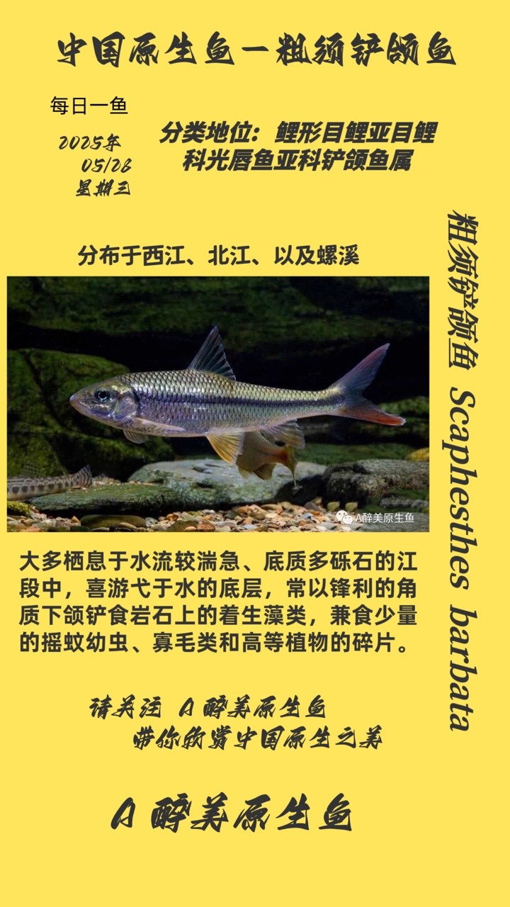 赤水市森森水族館（赤水市森森水族館電話）