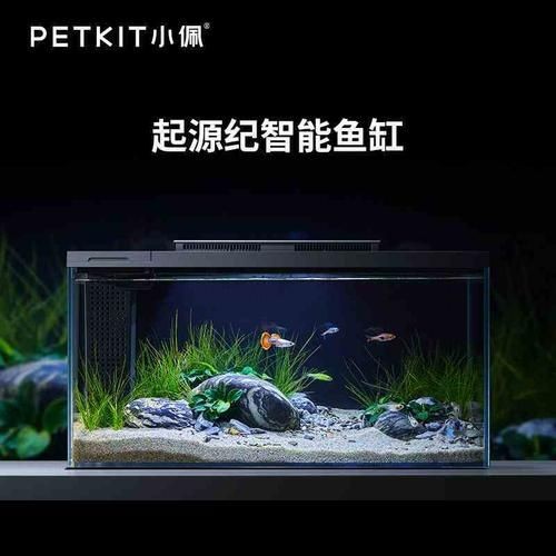 小佩魚缸pro不出氣泡怎么回事：小佩魚缸pro不出氣泡可能有多種原因及解決辦法