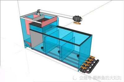 魚缸過濾器的使用方法：如何判斷魚缸過濾器選型指南，魚缸過濾器日常維護要點