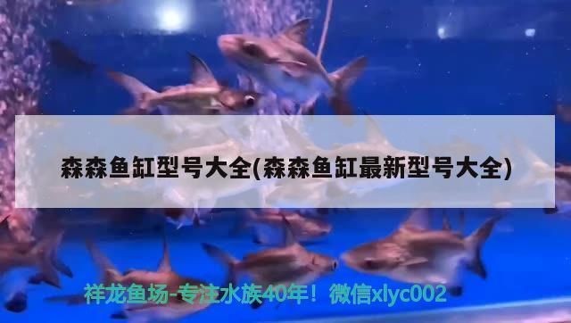 森森魚缸每個系列區別：hr系列水族箱通風性能評測hew800與he800對比分析