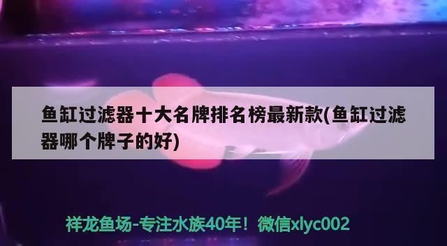十大名牌魚缸濾材排名：2024年12月1日魚缸濾材十大品牌排行榜