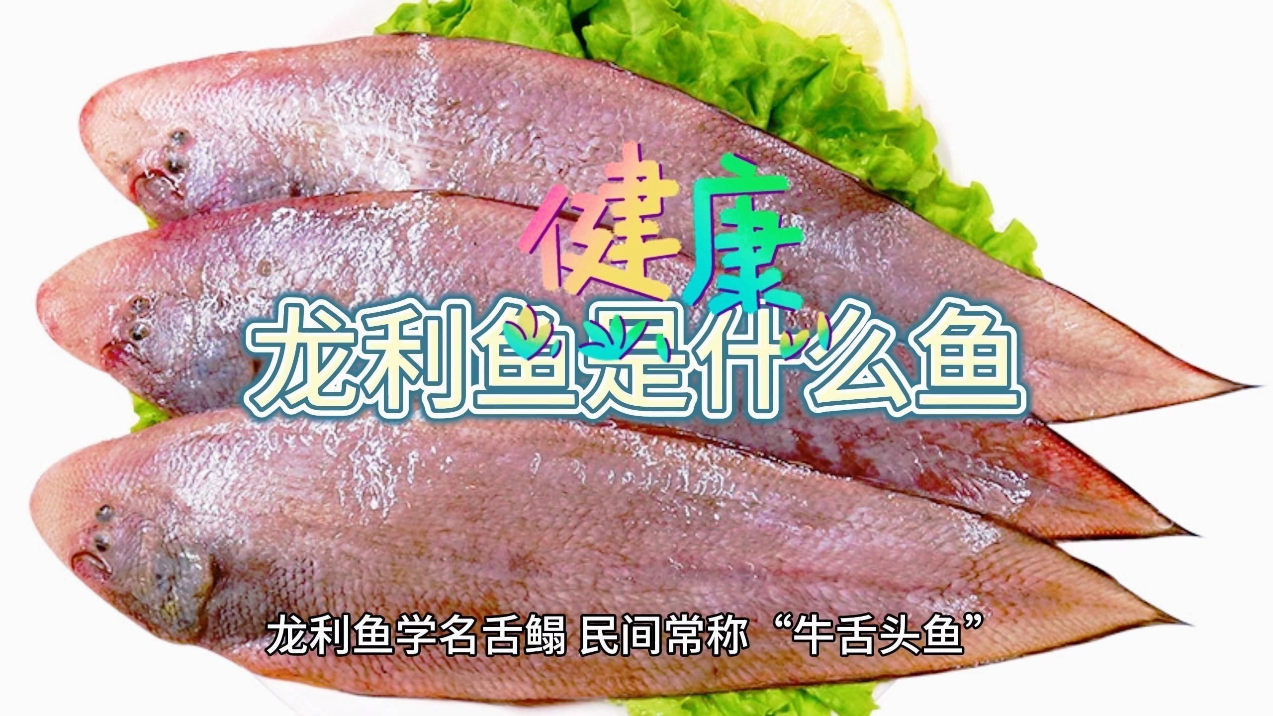 龍利魚是什么魚